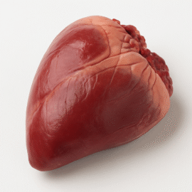Beef Heart